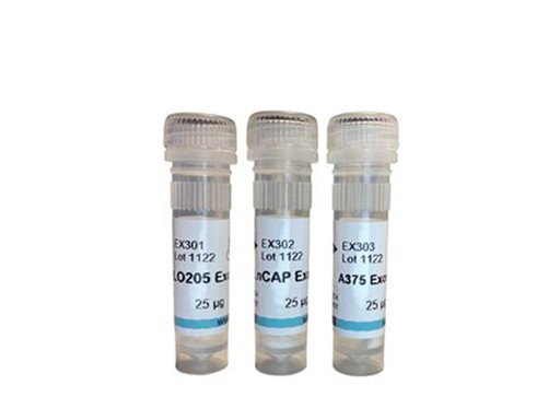 Instant Exosomes™ from COLO205, 50 μg